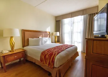 Rodeway Inn South Miami - Coral Gables hotel thumbnail 8