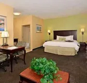 Hampton Inn & Suites Nacogdoches hotel detail image 7