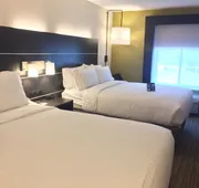 Holiday Inn Express and Suites Albany Airport- Wolf Road by IHG hotel detail image 5