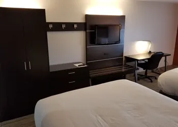 Holiday Inn Express Birch Run - Frankenmuth Area by IHG hotel thumbnail 8