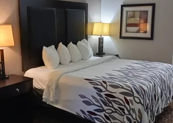 Red Roof Inn & Suites Longview hotel thumbnail 6