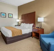 Comfort Inn Lancaster County North hotel detail image 5