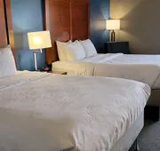 Comfort Inn Bessemer Birmingham South hotel detail image 7