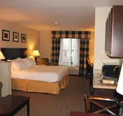 Holiday Inn Express Hotel & Suites Syracuse North - Cicero by IHG hotel detail image 5