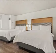 Holiday Inn Tampa Westshore - Airport Area by IHG hotel detail image 7