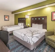 La Quinta Inn & Suites by Wyndham Dallas Grand Prairie South hotel detail image 3