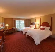 Hampton Inn & Suites Greenville hotel detail image 4