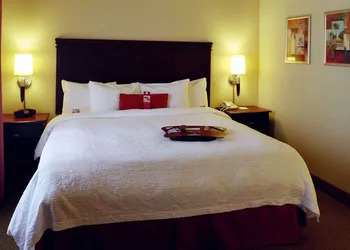 Hampton Inn & Suites Greenville hotel thumbnail 5