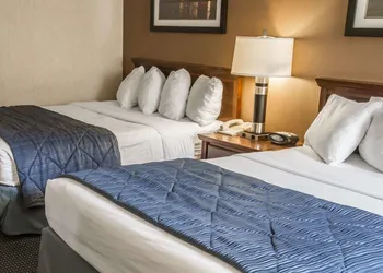 Quality Inn Schaumburg - Chicago near the Mall hotel thumbnail 5