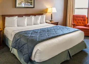 Quality Inn Schaumburg - Chicago near the Mall hotel thumbnail 6