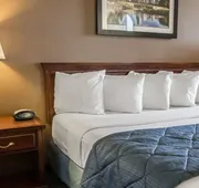 Quality Inn Schaumburg - Chicago near the Mall hotel detail image 7