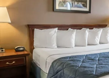 Quality Inn Schaumburg - Chicago near the Mall hotel thumbnail 7