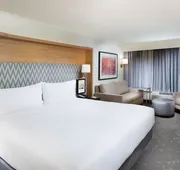 Holiday Inn Asheville East-Blue Ridge PKWY by IHG hotel detail image 3