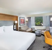Holiday Inn Asheville East-Blue Ridge PKWY by IHG hotel detail image 4