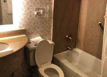 Holiday Inn Asheville East-Blue Ridge PKWY by IHG hotel thumbnail 8