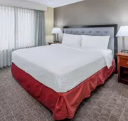 Homewood Suites by Hilton Denver - Littleton hotel detail image 7