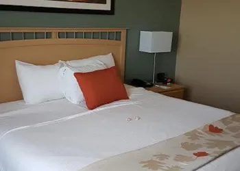 Hawthorn Extended Stay by Wyndham Corpus Christi hotel thumbnail 4