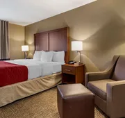 Comfort Inn & Suites Russellville I-40 hotel detail image 7