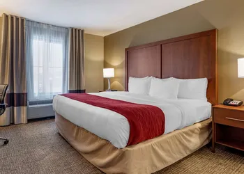 Comfort Inn & Suites Russellville I-40 hotel thumbnail 8