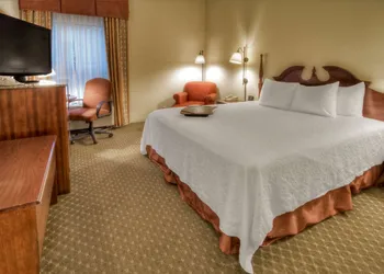 Hampton Inn Marion hotel thumbnail 6