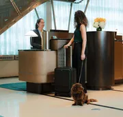 Sofitel Montreal Golden Mile hotel detail image 5