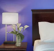 Holiday Inn South Plainfield-Piscataway by IHG hotel detail image 7