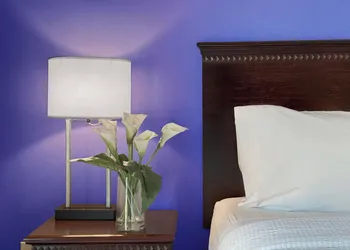 Holiday Inn South Plainfield-Piscataway by IHG hotel thumbnail 7