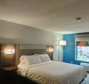 Holiday Inn Express Lapeer by IHG hotel detail image 5