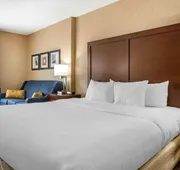 Comfort Inn Meadowlands hotel detail image 4