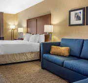Comfort Inn Meadowlands hotel detail image 7