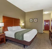 Comfort Inn & Suites Cave City hotel detail image 7