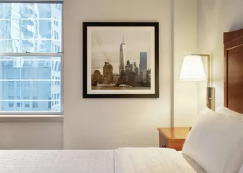 Hampton Inn Manhattan/Downtown-Financial District hotel thumbnail 7