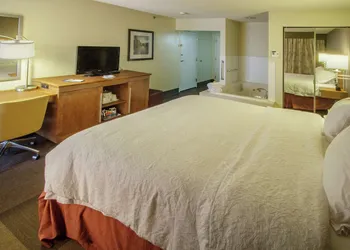 Hampton Inn South Haven hotel thumbnail 7