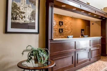 Comfort Suites New Braunfels - San Antonio Area hotel thumbnail 5