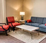Comfort Suites New Braunfels - San Antonio Area hotel detail image 3