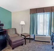 Best Western Plus Chicagoland - Countryside hotel detail image 5
