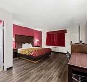 Econo Lodge Fallon Naval Air Station Area hotel detail image 7