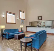 Comfort Inn University Area hotel detail image 3
