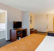 Comfort Suites South Haven near I-96 hotel detail image 7
