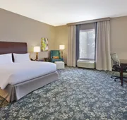 Hilton Garden Inn Detroit/Novi hotel detail image 5