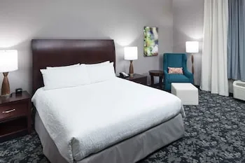 Hilton Garden Inn Detroit/Novi hotel detail image 6