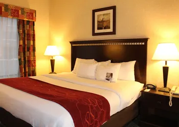 Comfort Suites Canton - Detroit hotel thumbnail 6