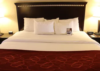 Comfort Suites Canton - Detroit hotel thumbnail 7