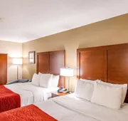 Comfort Inn Greenville - Haywood Mall hotel detail image 7