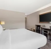 Comfort Inn hotel detail image 7
