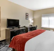 Comfort Inn & Suites Lubbock West hotel detail image 4