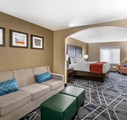 Comfort Inn & Suites Lubbock West hotel detail image 5