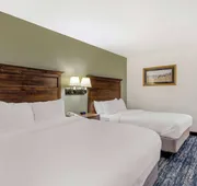 Comfort Inn & Suites Mt. Rushmore hotel detail image 7