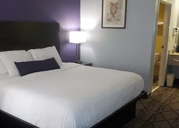 SureStay Plus Hotel by Best Western Warner Robins AFB hotel thumbnail 7