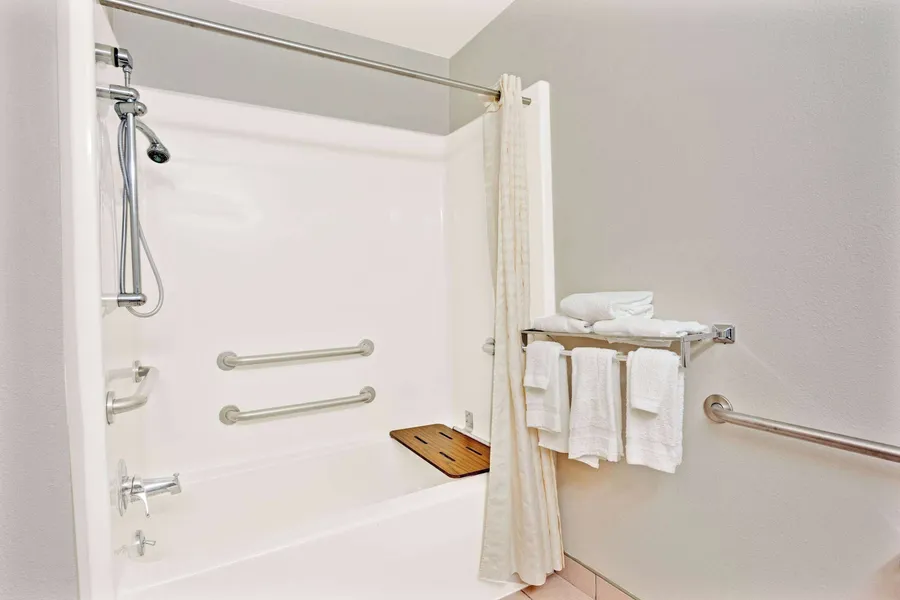 Microtel Inn & Suites by Wyndham Roseville/Detroit Area hotel detail image 6